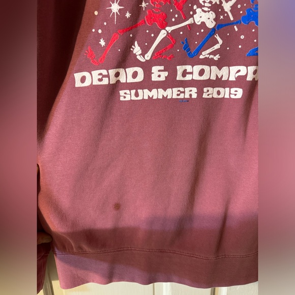 Dead & Company Official 2019 Tour Mauve Pullover Fleece Hoodie Men’s Small - Picture 4 of 9